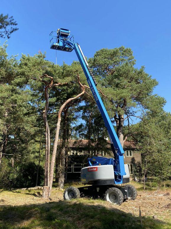 En blå skylift används för att beskära träd i en skogsmiljö under en klar himmel.