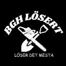 BGH Lösert
