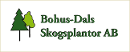 Bohus-Dals Skogsplantor AB