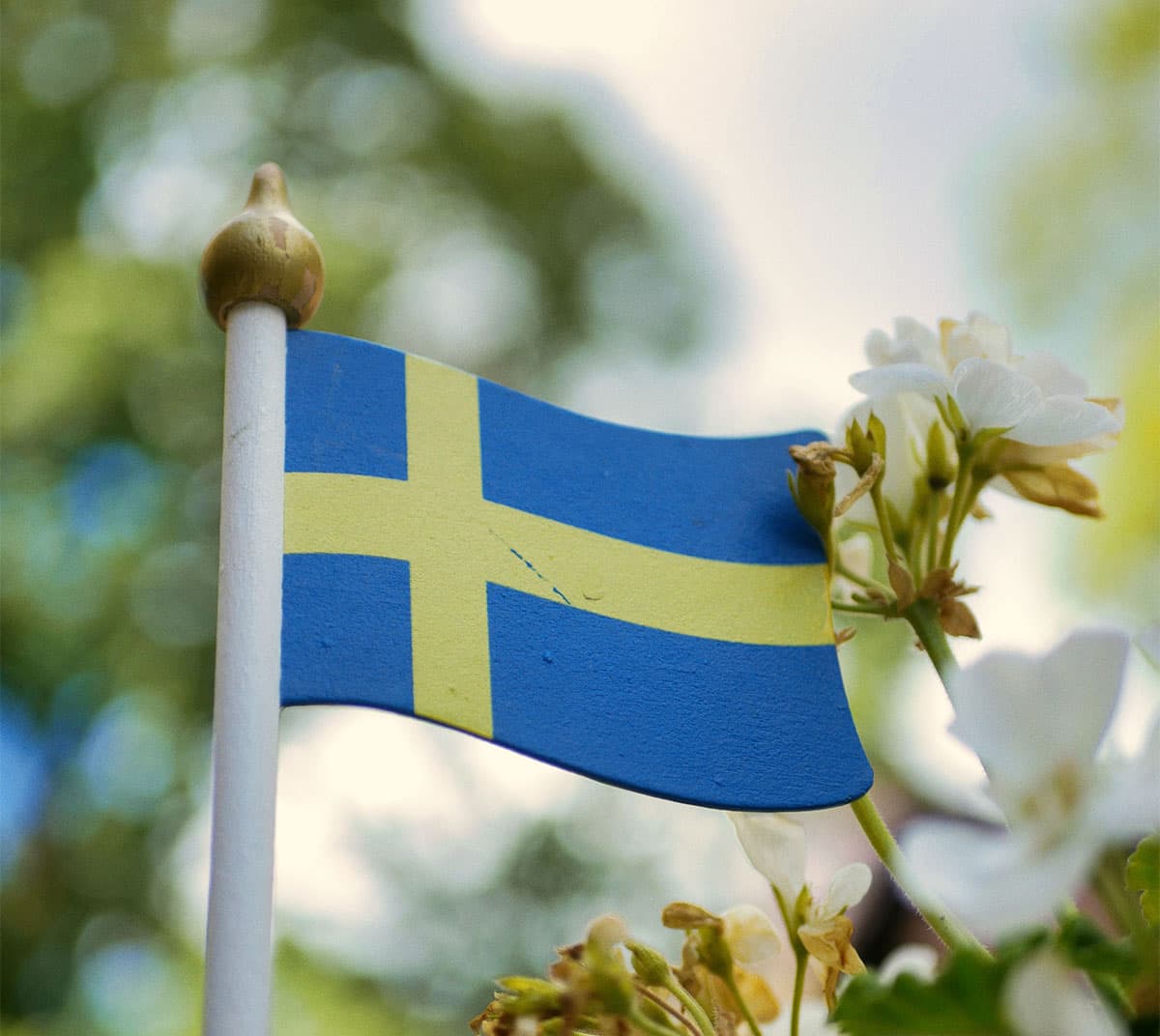 Populære ting at foretage sig i Sverige