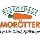 Nyskördade Morötter I Fjälkinge AB logo