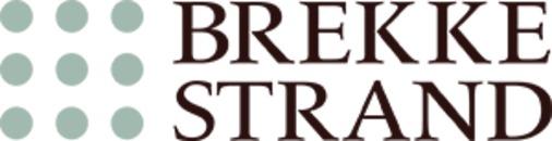 Brekke & Strand Akustik AB logo