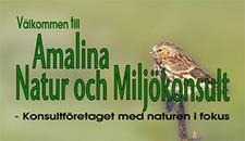 Amalina Natur- och Miljökonsult logo