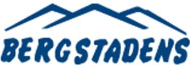 Bergstadens Entreprenad AB logo