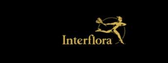 Gullvivan - Interflora logo