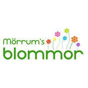 Mörrum's Blommor logo