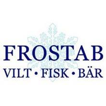 Frostab AB logo