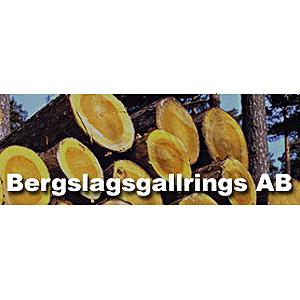 Bergslagsgallrings AB logo