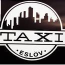 Taxi Eslöv logo