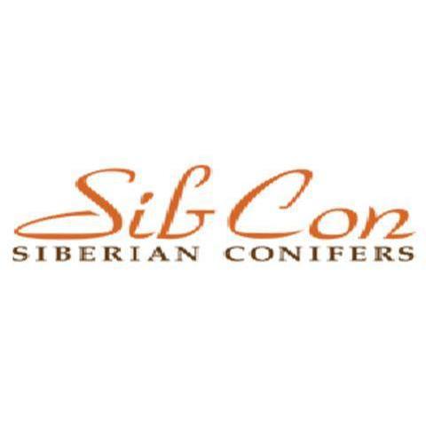 Sibcon logo