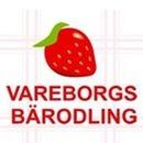 Vareborgs Bärodling AB logo