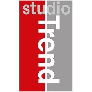 Studio Trend AB logo