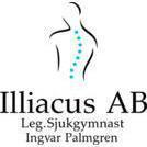 Illiacus AB/Ingvar Palmgren logo