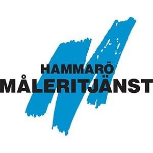 Hammarö Måleritjänst AB logo